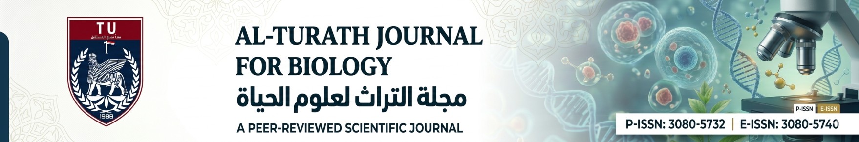 website Header